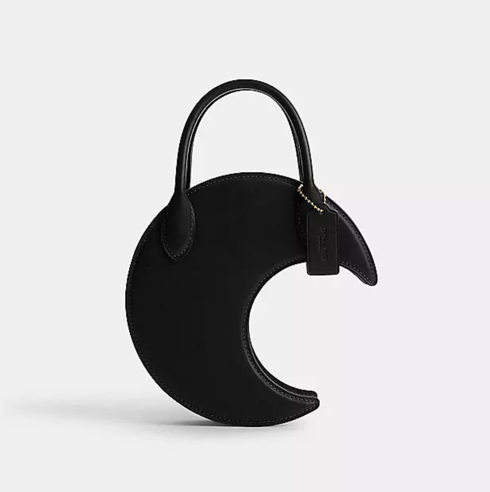 Coach Moon Bag in Regenerative Leather